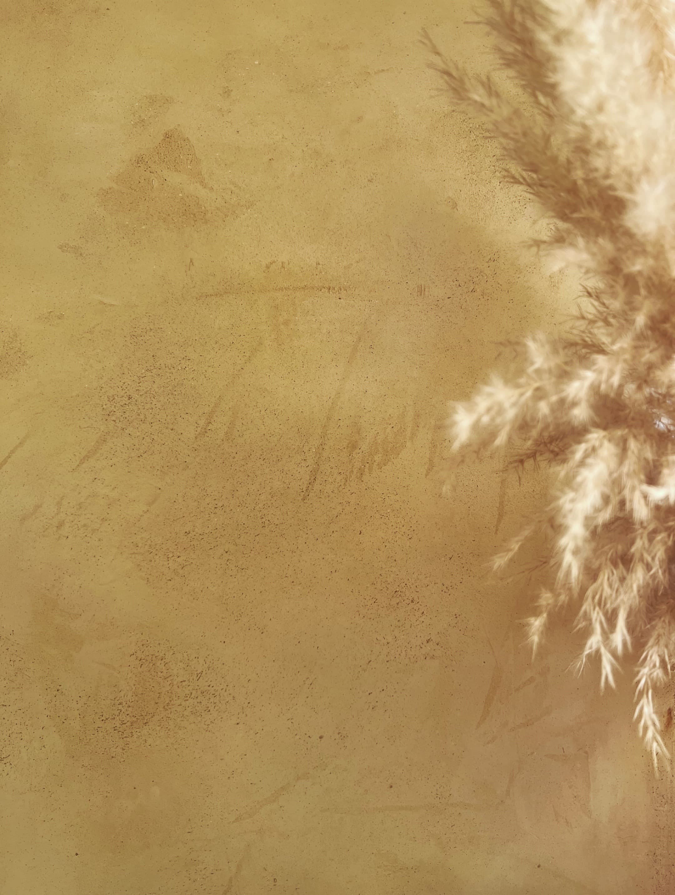 Plaster texture closeup